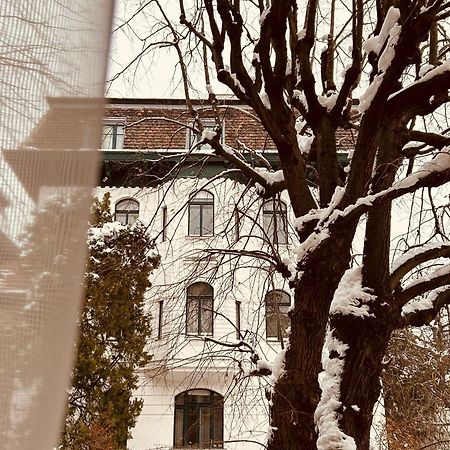 Apartment 5 Min Schoenbrunn Gloriette, Direct To City Center, Free Parking Вена Экстерьер фото