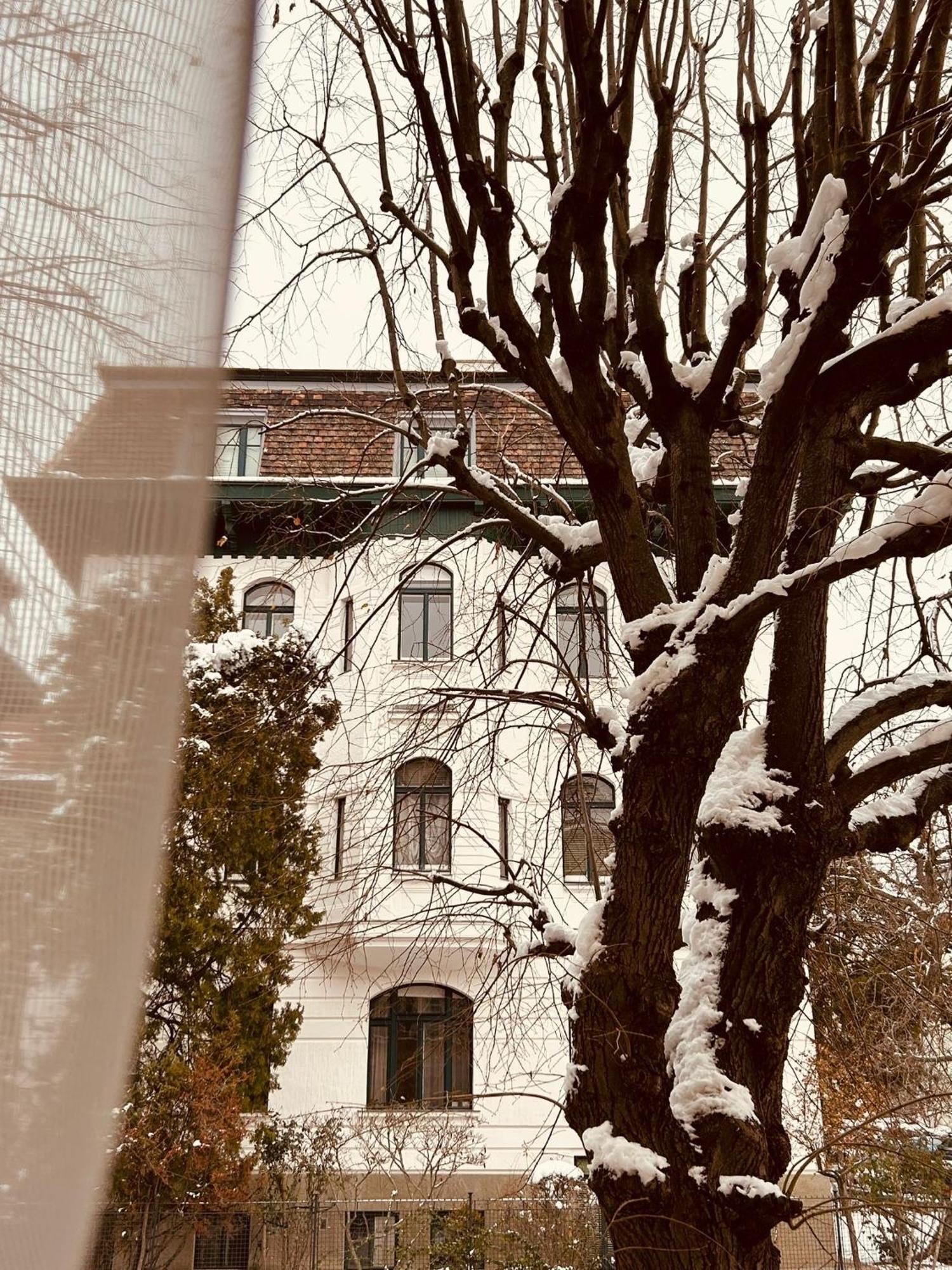 Apartment 5 Min Schoenbrunn Gloriette, Direct To City Center, Free Parking Вена Экстерьер фото